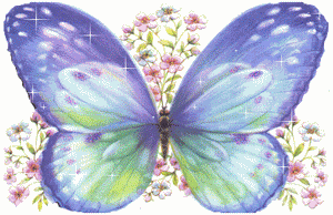Gif animé Bon mercredi papillon